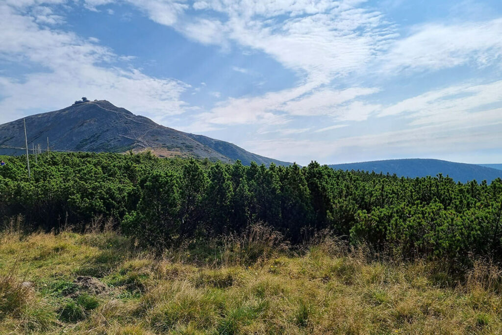 Bieszczady czy Karkonosze